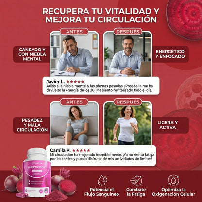 Suplemento natural para apoyar la circulación, energía y vitalidad diaria